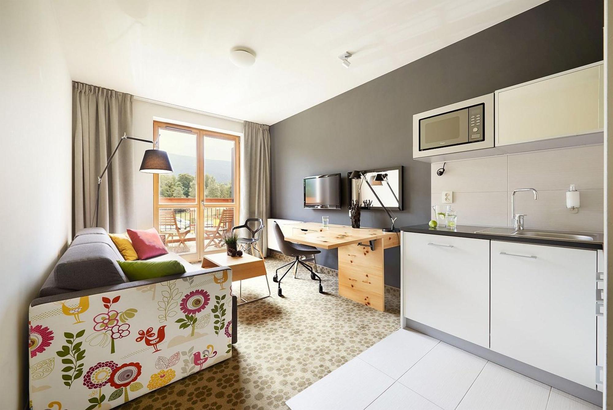 One-Bedroom Apartment with Mountain View,704215222:JPEG